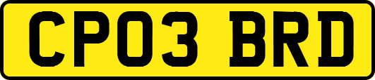 CP03BRD