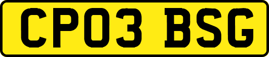 CP03BSG