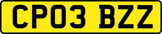 CP03BZZ