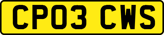 CP03CWS