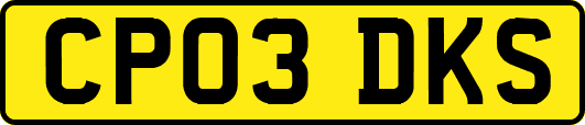 CP03DKS