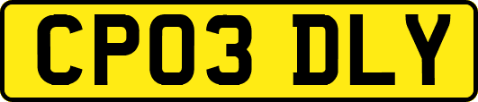 CP03DLY