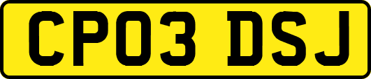CP03DSJ