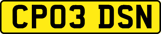 CP03DSN