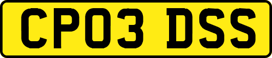 CP03DSS