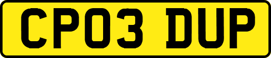CP03DUP