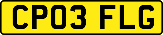 CP03FLG