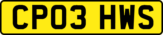 CP03HWS