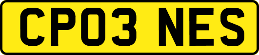 CP03NES