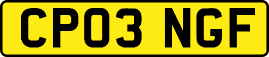 CP03NGF