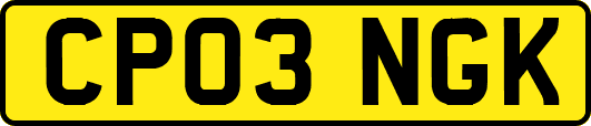 CP03NGK