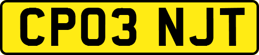 CP03NJT