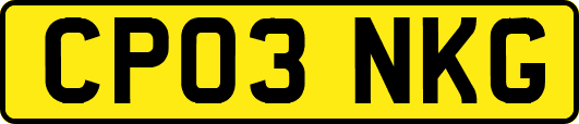 CP03NKG