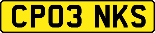 CP03NKS