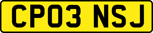 CP03NSJ