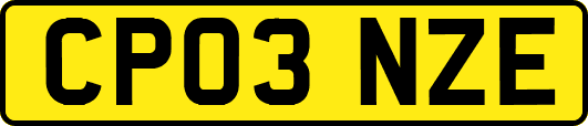 CP03NZE