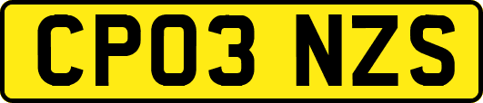 CP03NZS
