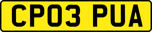 CP03PUA