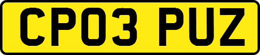 CP03PUZ