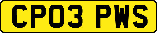 CP03PWS