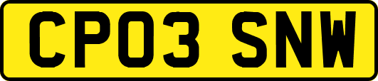 CP03SNW
