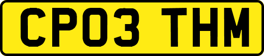 CP03THM