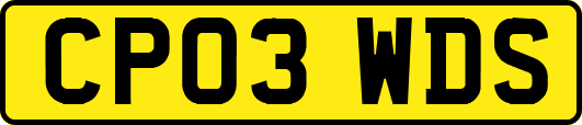 CP03WDS