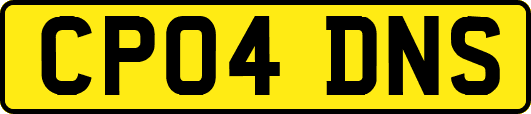 CP04DNS