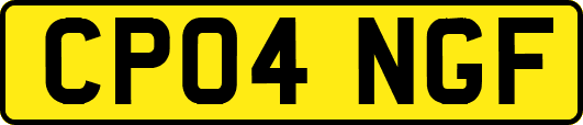 CP04NGF