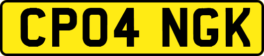 CP04NGK