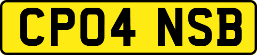 CP04NSB