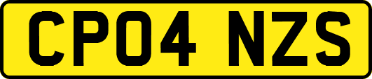 CP04NZS