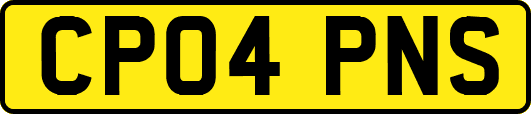 CP04PNS
