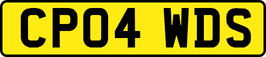 CP04WDS