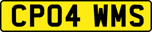 CP04WMS