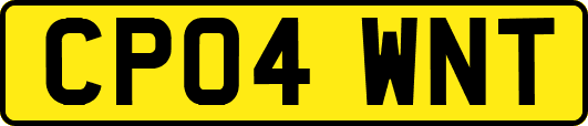 CP04WNT