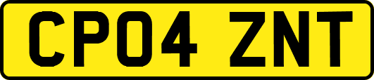 CP04ZNT
