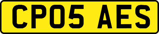 CP05AES