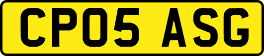 CP05ASG