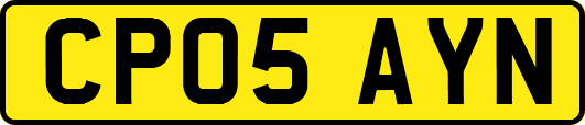 CP05AYN
