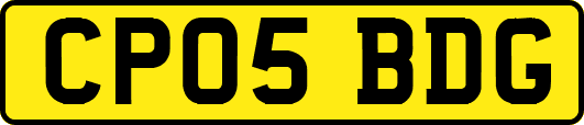 CP05BDG
