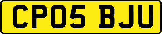 CP05BJU
