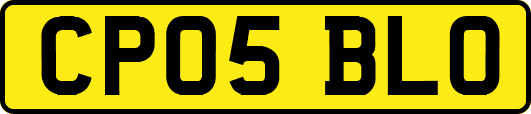 CP05BLO