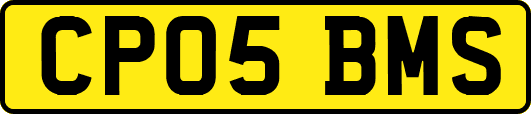 CP05BMS