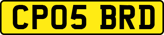 CP05BRD