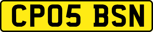 CP05BSN