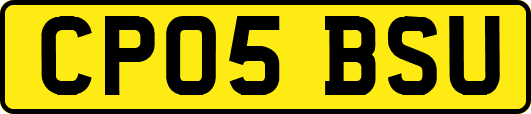 CP05BSU