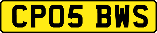 CP05BWS