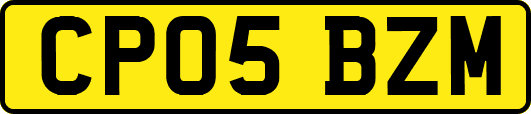 CP05BZM