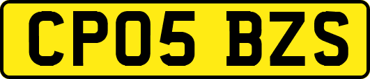 CP05BZS